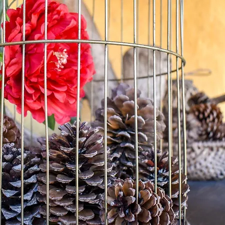 Colmeal 컨트리하우스 미라