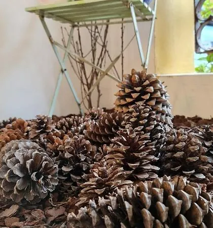 Colmeal * Mira (Coimbra)