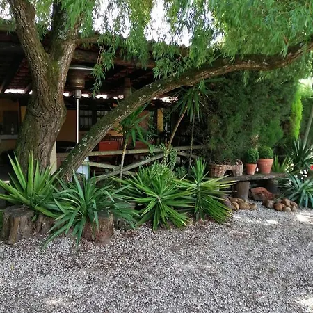 Kır Evi Colmeal Mira (Coimbra)