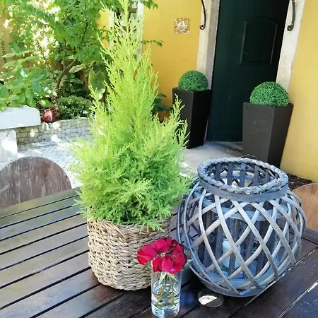 Gospodarstwo wiejskie Colmeal *