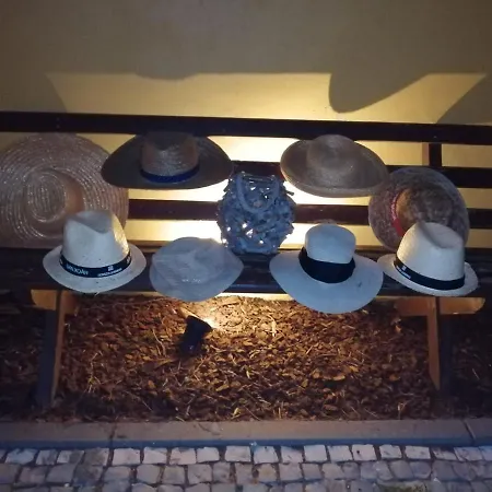 Gospodarstwo wiejskie Colmeal *