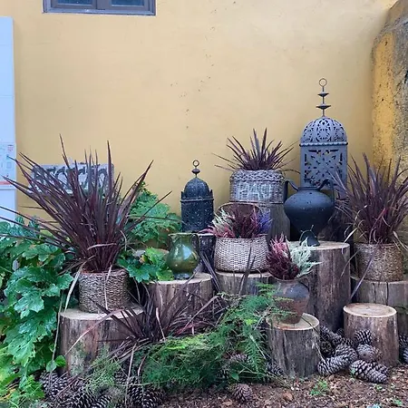 Colmeal Gospodarstwo wiejskie *