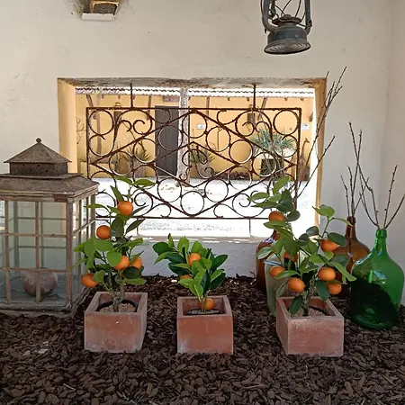 Kır Evi Colmeal