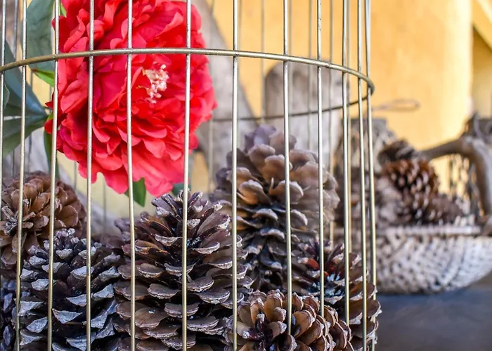 Colmeal Landhaus Mira (Coimbra)